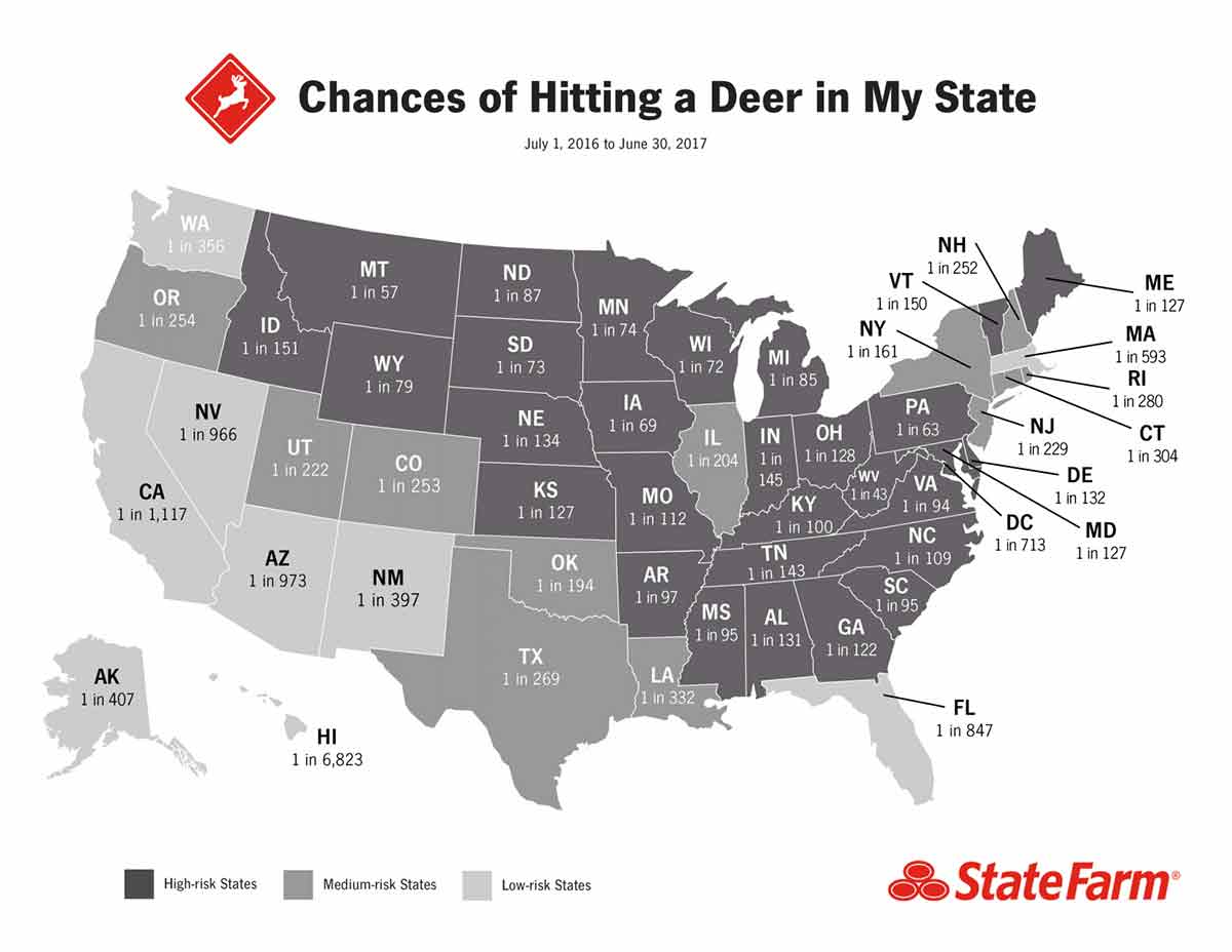 Deer vehicle collisions are more common in some states than others.