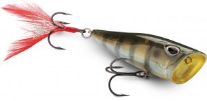 The Arashi Cover Pop is a new topwater lure.