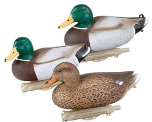 Storm Front Classic decoys for duck hunting
