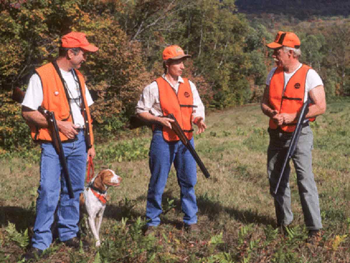 Sunday hunting isn't legal in 2018-19 seasons.
