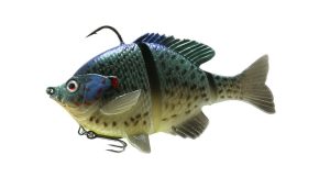 The Bluegill 4 is a bass fishing bait.