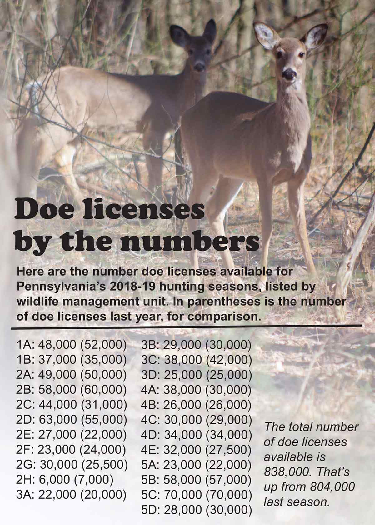 Doe licenses are more numerous now than last year.