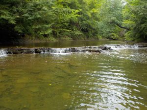 Volume of water is important to steelhead when it comes to navigating in-stream obstacles.