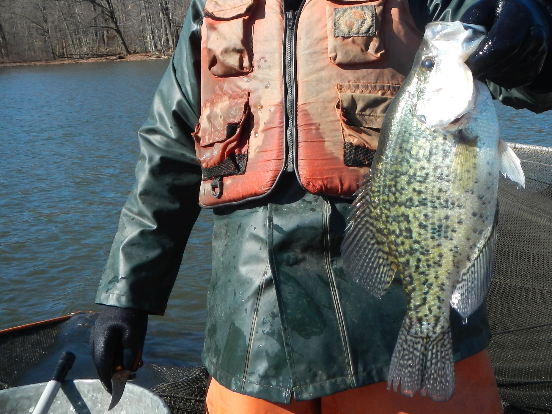 Fishing for crappies looks promising at two lakes - EverybodyAdventures