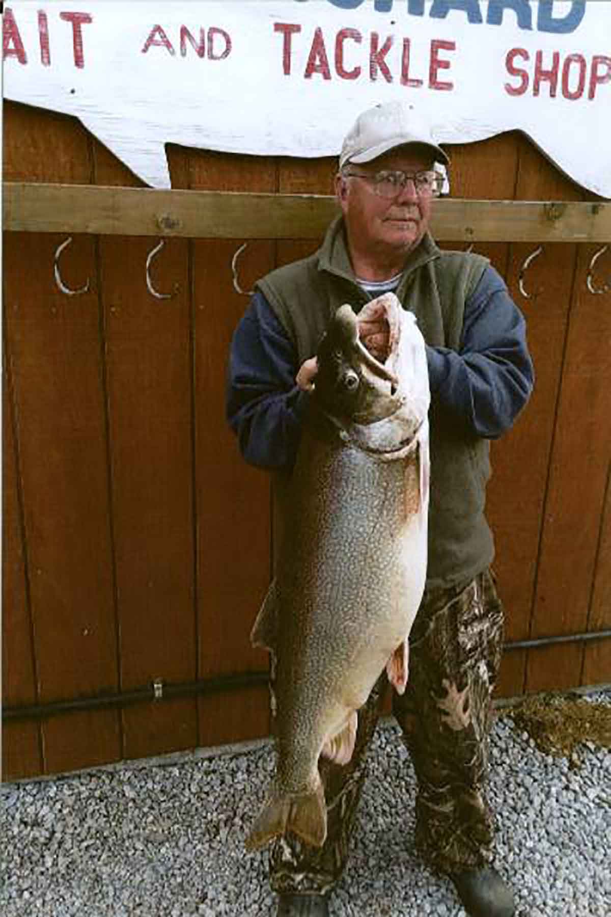 Lake trout grow large.