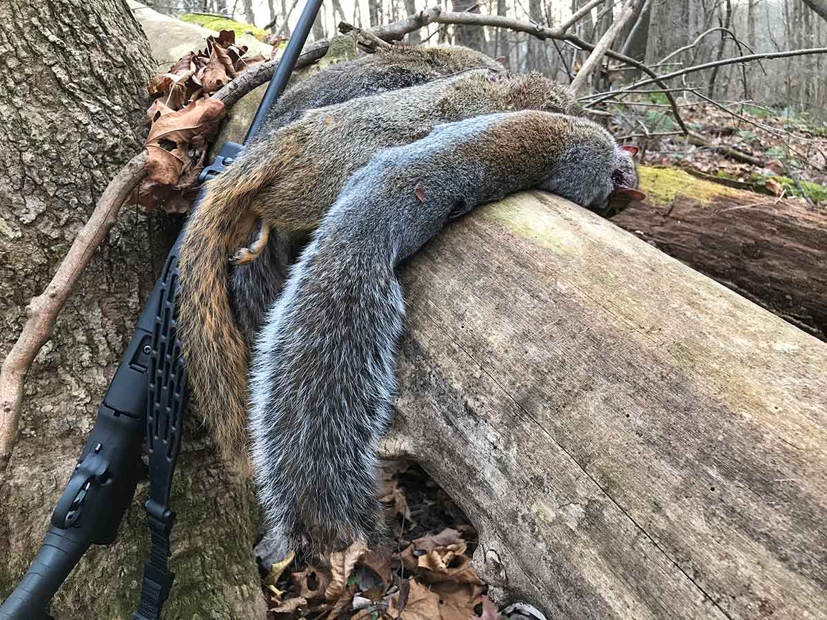 Late season squirrel hunting can be productive.