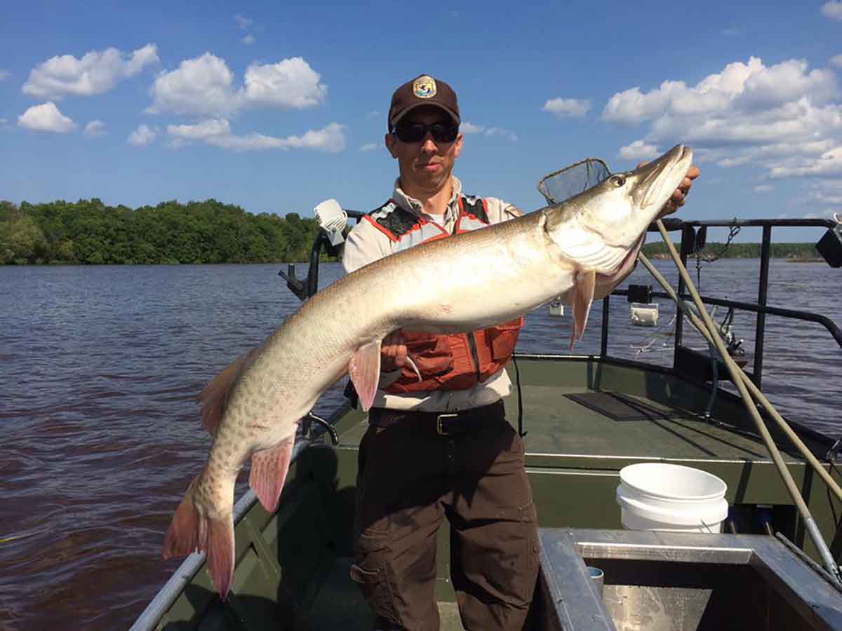 Catching big muskies is a thrill, especially using any of these 10 tips.